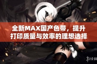 全新MAX国产色带，提升打印质量与效率的理想选择