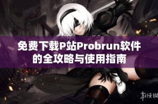 免费下载P站Probrun软件的全攻略与使用指南