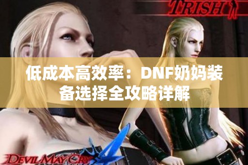 低成本高效率：DNF奶妈装备选择全攻略详解